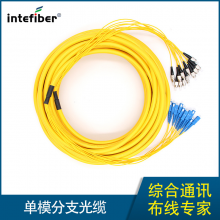 因特光电分支光缆集束单模光纤跳线3米5米SC/FC/LC/ST定制2/4/6/8/12/24芯 