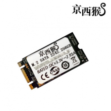 京西猴（J.Monkey）DC1100 SSD固态硬盘 M.2 SATA 2280 1024GB