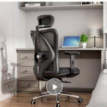 西昊（SIHOO） 人体工学电脑椅子 家用老板椅电竞椅 靠背转椅座椅 撑腰办公椅可躺 M18黑色