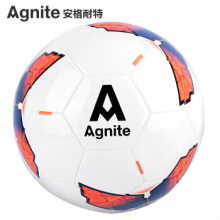 安格耐特（Agnite） 成人比赛训练足球 TPU手工贴皮教学用球 F1212 文体用品