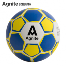 安格耐特（Agnite）成人5号足球 标准训练机缝足球 F1209 文体用品