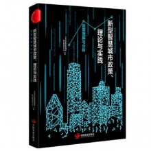 新型智慧城市政策、理论与实践：政策理解与分析 经济 中电科新型智慧城市研究院有限公司 中国发展出版社