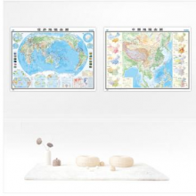 中国地理全图+世界地理全图（1170mm*865mm 专用挂图 学生专用版套装）