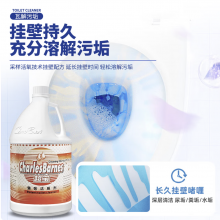 超宝渍强效洁厕剂3.8升4瓶装马桶瓷砖去污除臭剂酒店宾馆厕所清洁神器