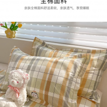 无印良品全棉枕套100%新疆长绒棉枕头套枕芯套枕巾48x74cm 单只
