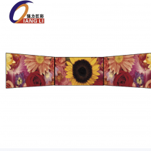 强力巨彩（QIANGLI）强力巨彩 Q1.8 H 室内全彩 LED 显示大屏