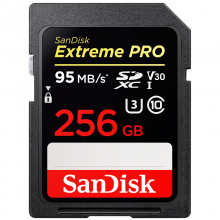 闪迪（SanDisk）256GB SD存储卡