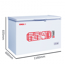 星星（XINGX） 305升 商用卧式冰柜 单温单箱冰箱 冷藏冷冻转换冷柜  BD/BC305E