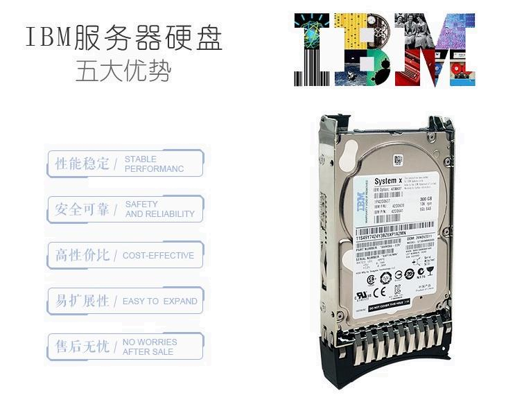 IBM服务器硬盘1TB