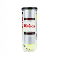  威尔胜（Wilson）WRT1021新款威尔胜网球 训练专用网球 金属罐3粒装