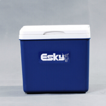  爱斯基 ESKY 10L大容量户外保温箱冷藏箱包 便携式车载保温箱外卖箱送快餐箱 赠6冰袋