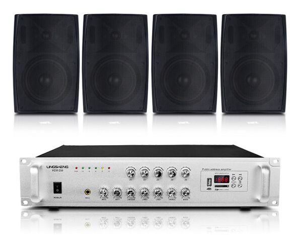 CK AUDIO CK-S8 壁挂音箱