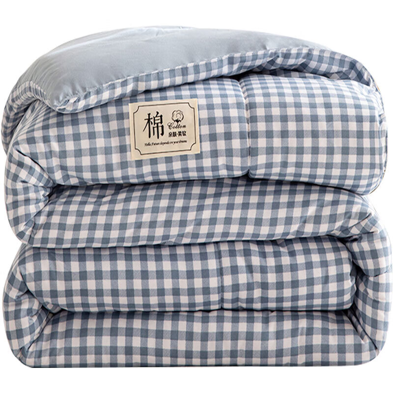 洁丽雅（Grace）棉花被 A类新疆长绒棉被子 棉胎四季被芯被褥子春秋被 1.5*2M 4斤