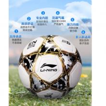 李宁足球5号成人比赛世界杯