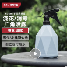 得力（deli）喷水壶喷雾器园艺浇花洗车酒精消毒喷壶手压式蓝色 DL581005A