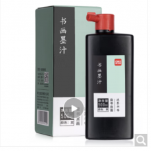 得力（deli)500ml高级书画墨汁 特制浓墨 书法专用 文房四宝