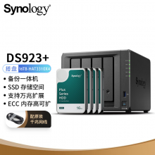 群晖（Synology）DS923+ 搭配4块群晖 Plus系列 HAT3310 16TB硬盘 
