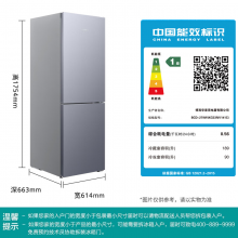 西门子（SIEMENS）279升风冷无霜双门家用冰箱
