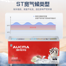 澳柯玛516升商用卧式冷冻柜雪糕柜 大容量展示柜零下28度 SD-516CG