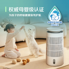 布鲁雅尔（Blueair）加湿器 DH5i空气净化器加湿净化一体机静音无雾加湿