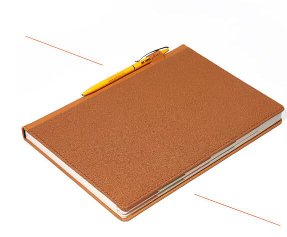 杉友B5时尚商务随身笔记本韩版日记本子带分类 棕色 B5皮本16139 