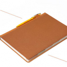 杉友B5时尚商务随身笔记本韩版日记本子带分类 棕色 B5皮本16139 